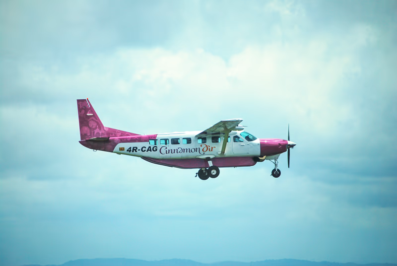 Cinnamon air airplane in the air