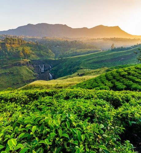 Cinnamon Air – airline & tickets in Sri Lanka – photo 7