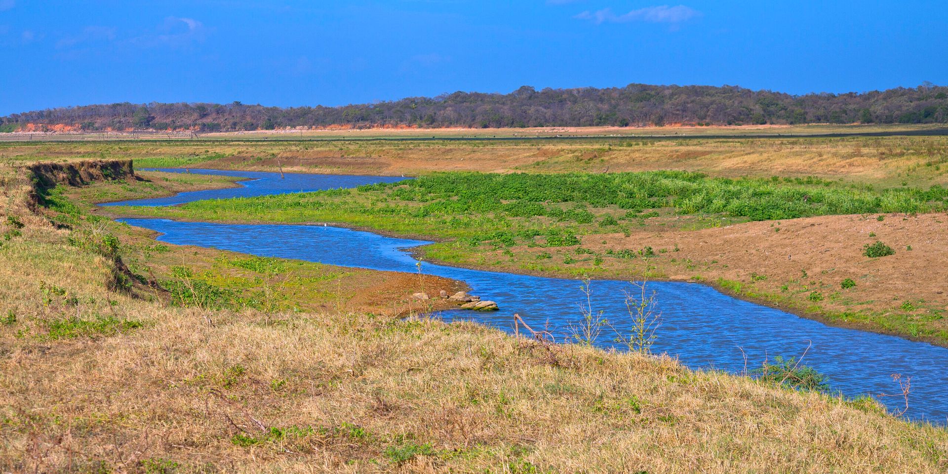 River at Kaudulla national park