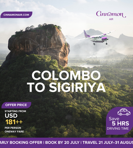 Cinnamon Air